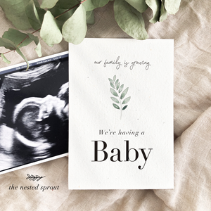 Plantable Daisy seed Pregnancy Milestone Cards