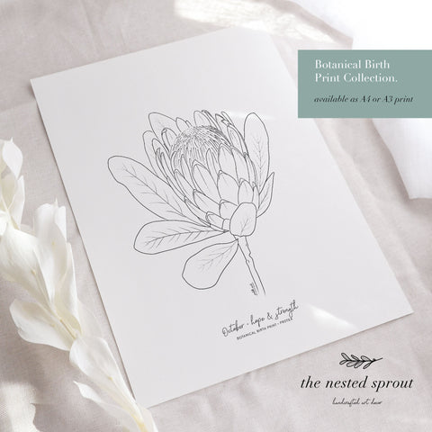 October ~ Protea ~ Botanical Birth Print