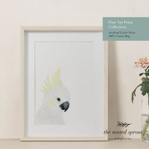Sulphur-Crested Cockatoo ~ Fine Art Print