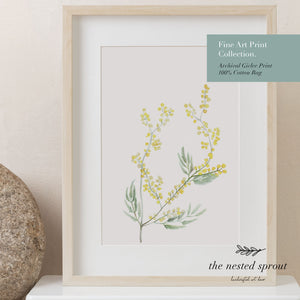 Yellow Wattle ~ Fine Art Print
