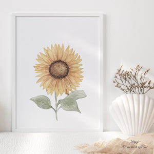 Golden Sunflower ~ Fine Art Print