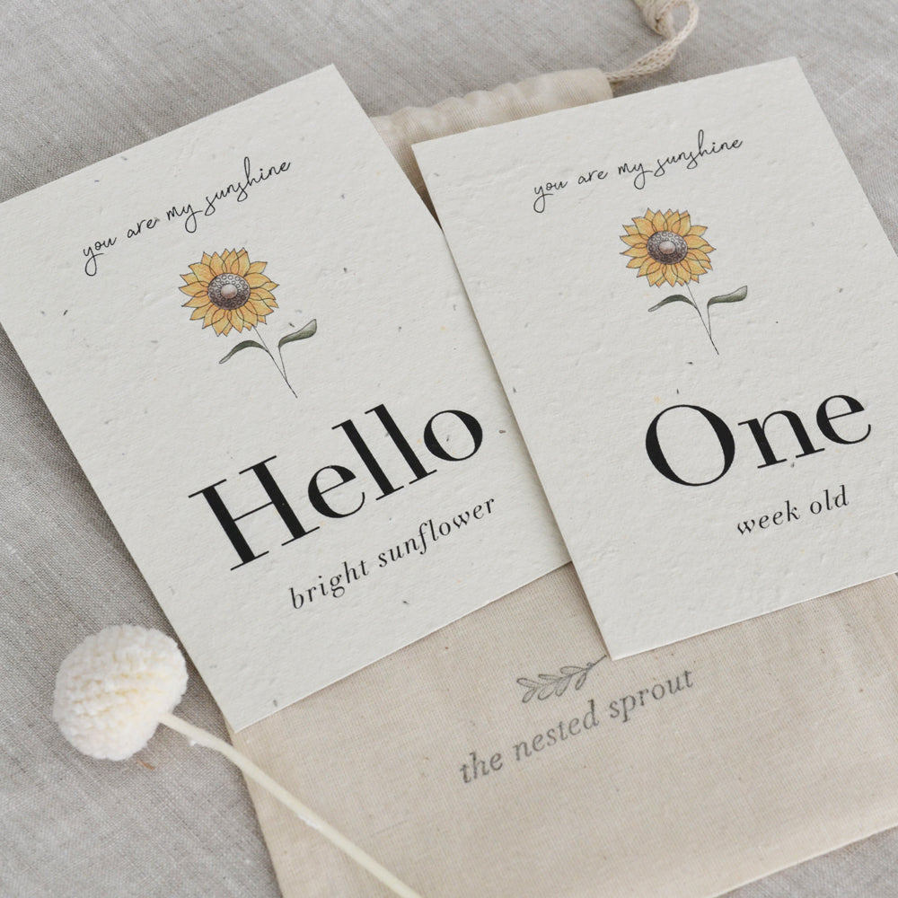 Plantable Baby Milestone Cards ~ Sunflower