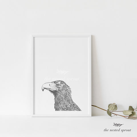 Wedge-tailed Eagle ~ Fine Art Print