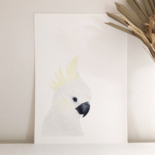 Sulphur-Crested Cockatoo ~ Fine Art Print