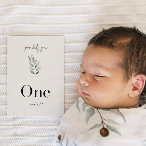 Plantable Baby Milestone Cards ~ Grow